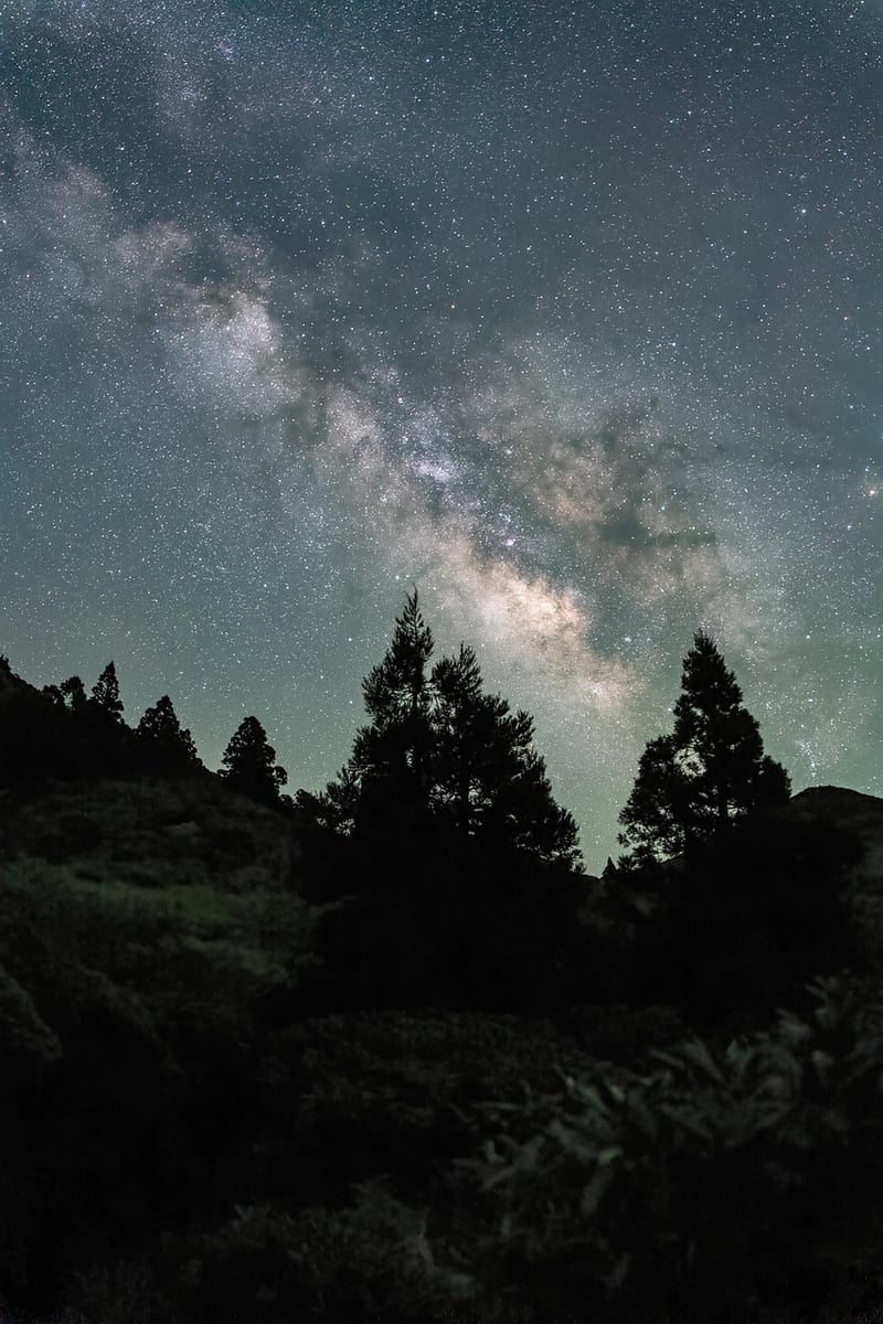Dreamy Landscape
